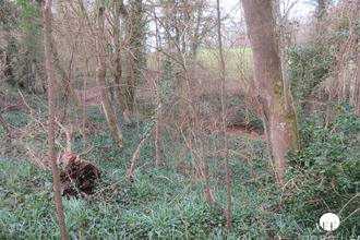 achat terrain st-simeon 77169