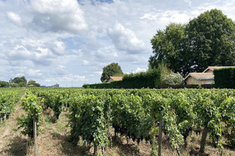 achat terrain st-sulpice-de-faleyrens 33330