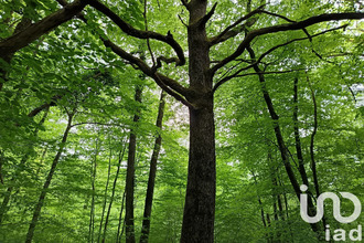 achat terrain st-sulpice-de-pommeray 41000