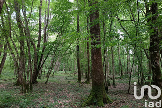 achat terrain st-sulpice-de-pommeray 41000