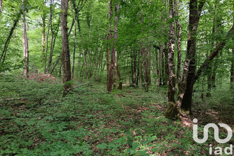 achat terrain st-sulpice-de-pommeray 41000