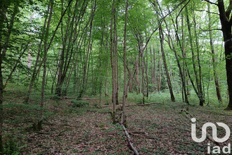 achat terrain st-sulpice-de-pommeray 41000