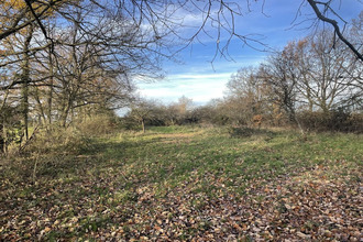 achat terrain st-sylvestre-pragoulin 63310