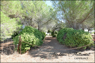 achat terrain st-thibery 34630