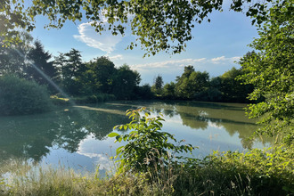 achat terrain st-ulrich 68210