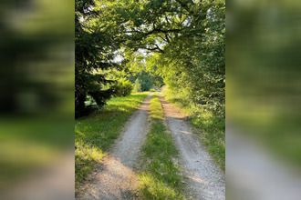 achat terrain st-ulrich 68210