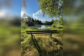 achat terrain st-ulrich 68210