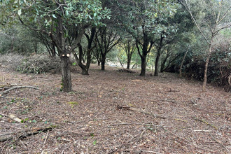 achat terrain st-vincent-d-olargues 34390