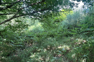 achat terrain st-yrieix-la-perche 87500