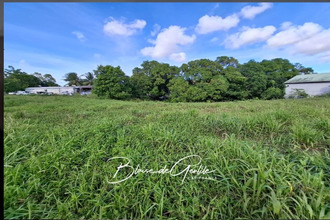 achat terrain ste-anne 97180