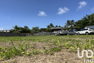 achat terrain ste-anne 97180