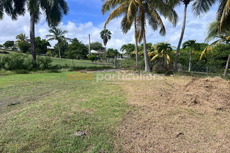 achat terrain ste-anne 97180