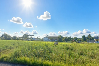 achat terrain ste-anne 97180