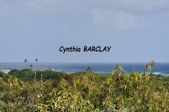 achat terrain ste-anne 97227