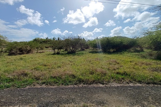 achat terrain ste-anne 97227