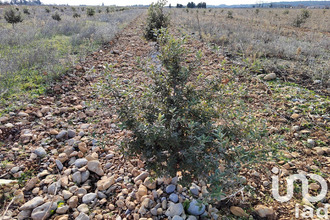 achat terrain ste-cecile-les-vignes 84290