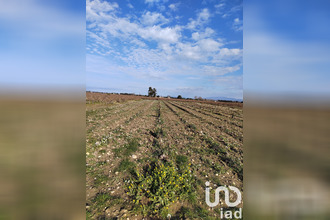 achat terrain ste-cecile-les-vignes 84290