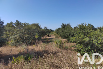 achat terrain ste-cecile-les-vignes 84290