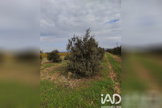 achat terrain ste-cecile-les-vignes 84290