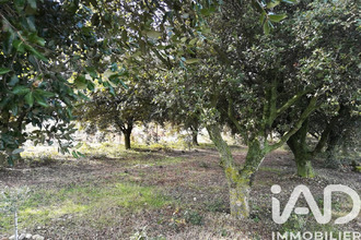 achat terrain ste-cecile-les-vignes 84290