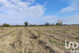 achat terrain ste-cecile-les-vignes 84290