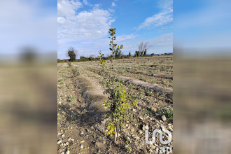 achat terrain ste-cecile-les-vignes 84290