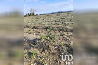 achat terrain ste-cecile-les-vignes 84290