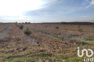 achat terrain ste-cecile-les-vignes 84290