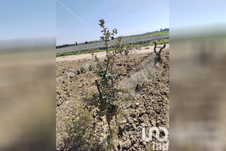 achat terrain ste-cecile-les-vignes 84290