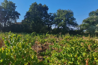 achat terrain ste-cecile-les-vignes 84290