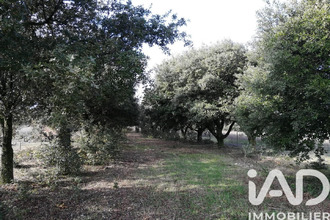 achat terrain ste-cecile-les-vignes 84290