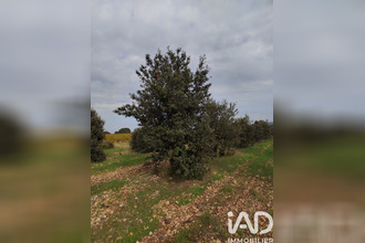 achat terrain ste-cecile-les-vignes 84290