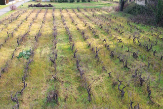 achat terrain ste-cecile-les-vignes 84290