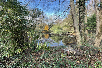 achat terrain ste-foy 85150