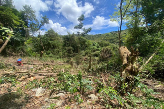 achat terrain ste-luce 97228