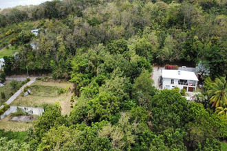 achat terrain ste-luce 97228