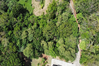 achat terrain ste-luce 97228