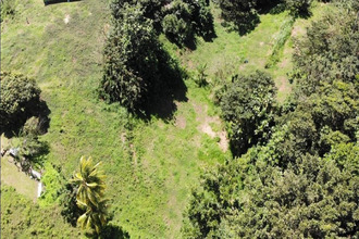 achat terrain ste-marie 97230