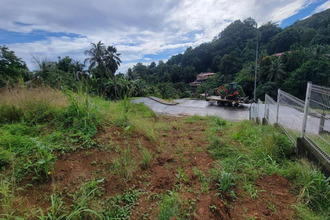 achat terrain ste-marie 97230