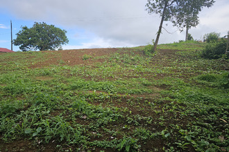 achat terrain ste-marie 97230