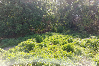 achat terrain ste-marie 97438