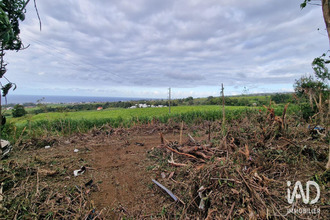 achat terrain ste-marie 97438