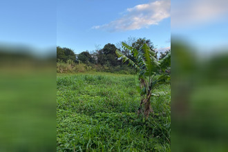 achat terrain ste-marie 97438