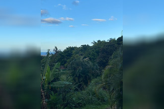 achat terrain ste-marie 97438