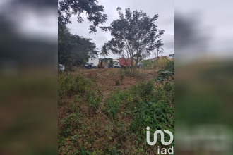 achat terrain ste-marie 97438