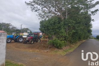 achat terrain ste-marie 97438