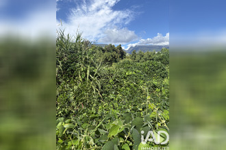 achat terrain ste-marie 97438