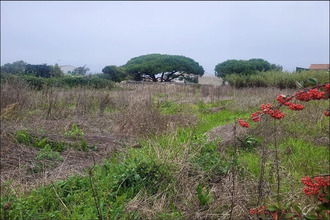 achat terrain ste-marie-de-re 17740