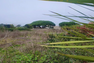 achat terrain ste-marie-de-re 17740