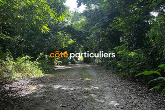 achat terrain ste-rose 97115